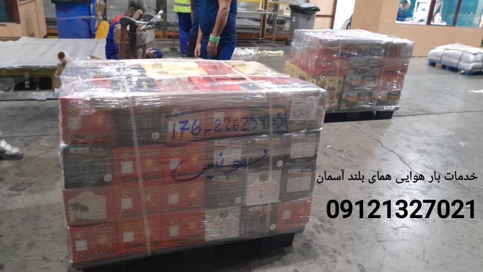WhatsApp Image 2025 12 06 at 11.56.01 1